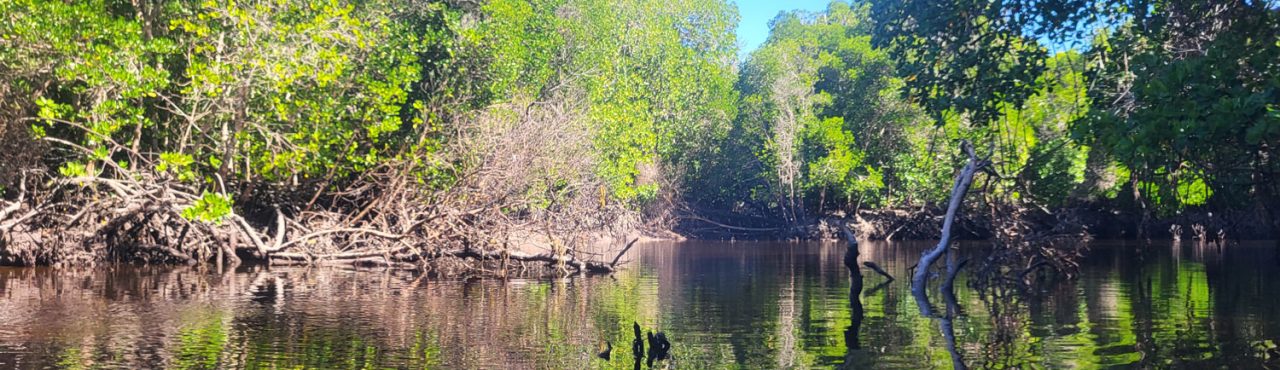 mida-creek
